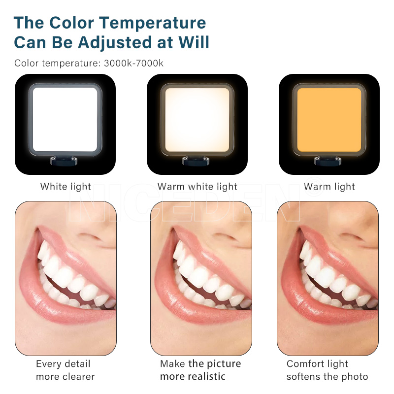 Niceden デンタルポータブルフラッシュライト写真撮影機 - Photography Dental のレビューと価格