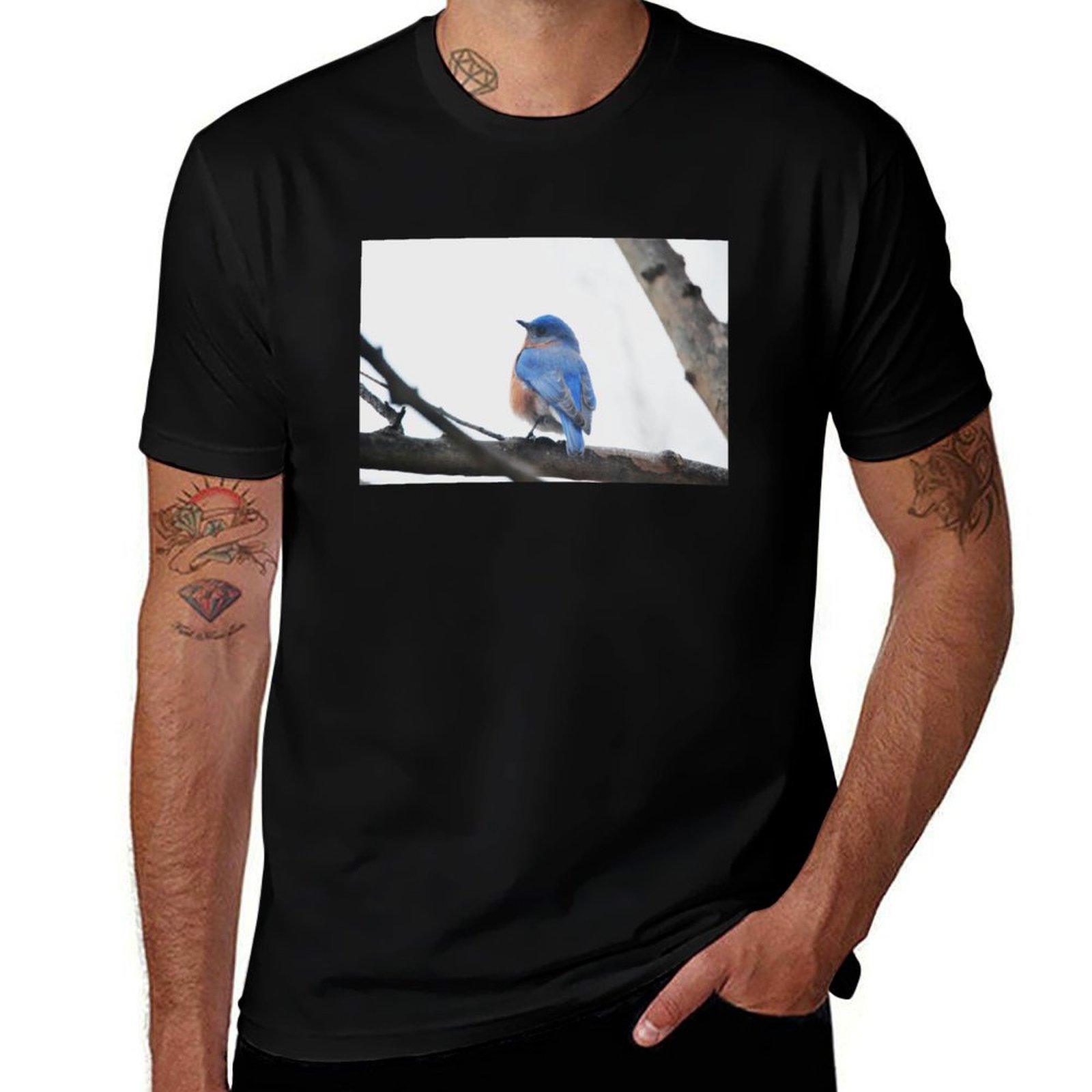 男性用 イースタンブルーバード 自然写真撮影 Tシャツ 速乾 - Photography Training のレビューと価格