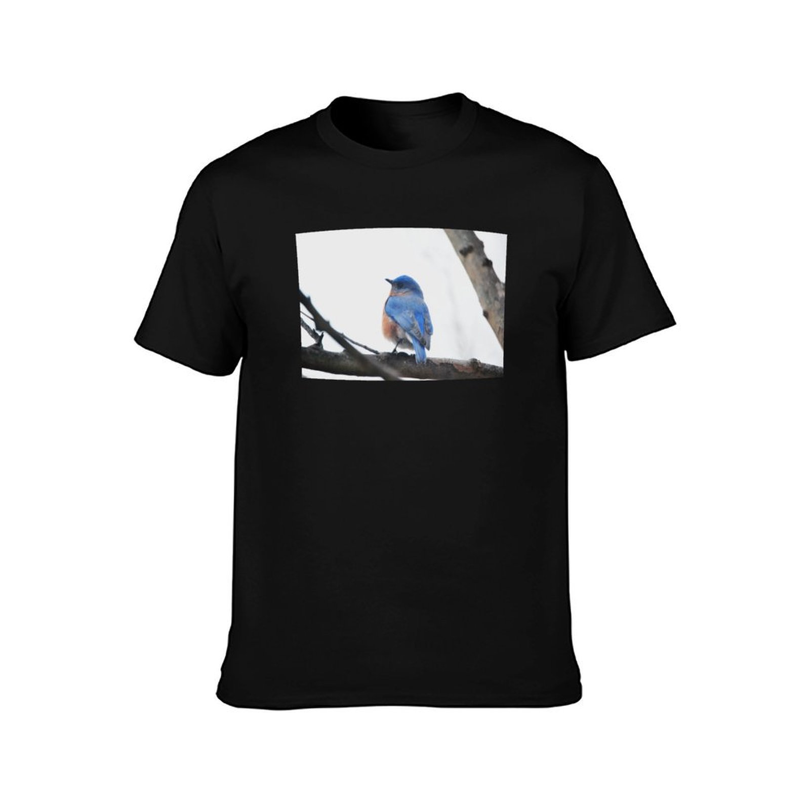男性用 イースタンブルーバード 自然写真撮影 Tシャツ 速乾 - Photography Training のレビューと価格