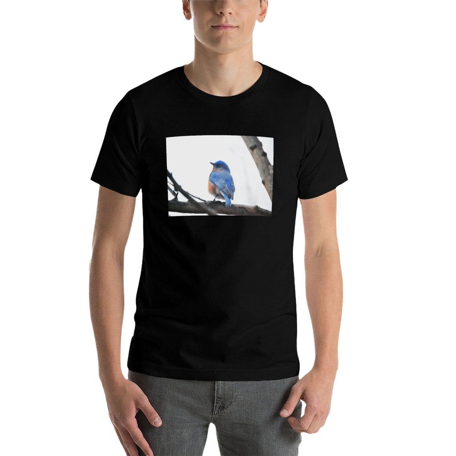 男性用 イースタンブルーバード 自然写真撮影 Tシャツ 速乾 - Photography Training のレビューと価格